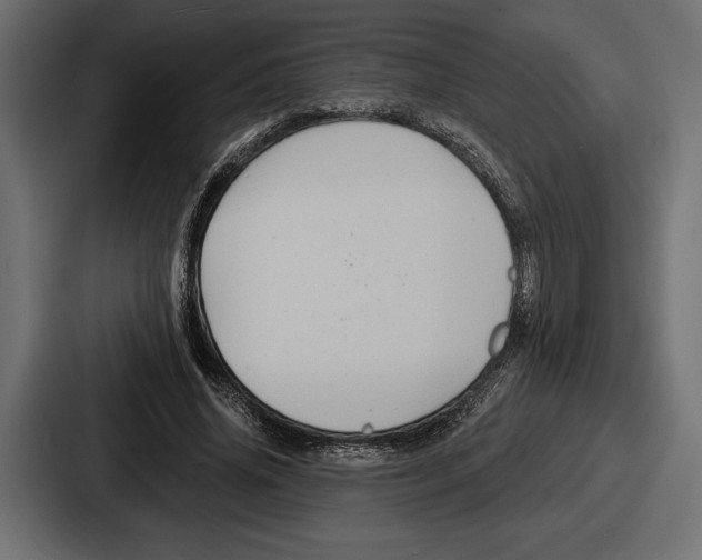 X0000086730636200705111615