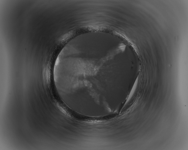 X0000086730637200705111615