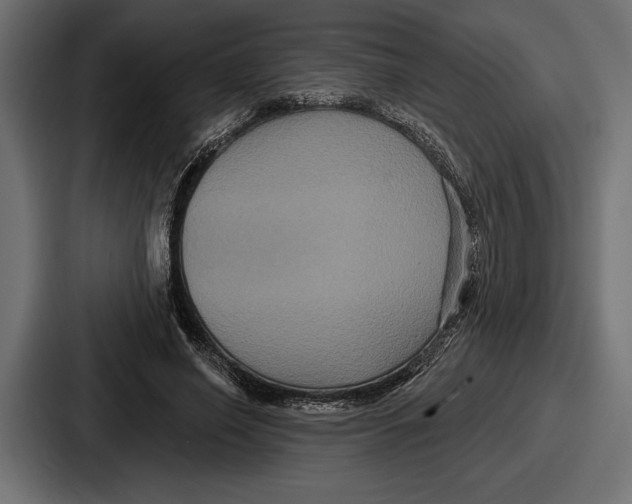 X0000086730638200705111615