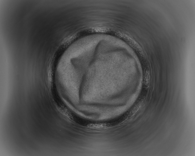 X0000086730639200705111615