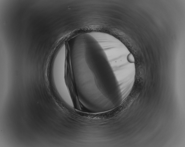 X0000086730640200705111615