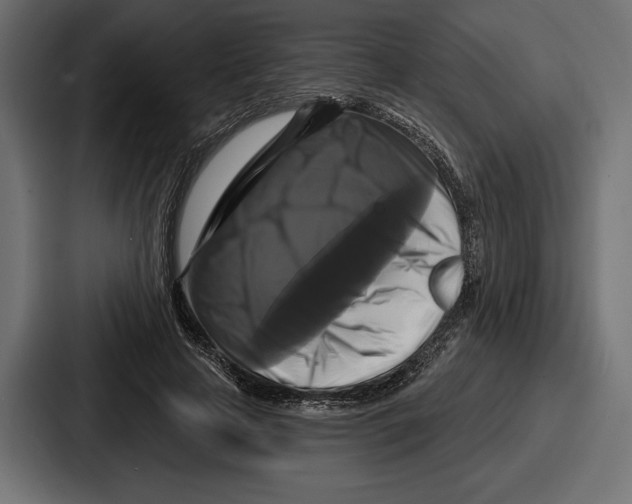X0000086730641200705111615
