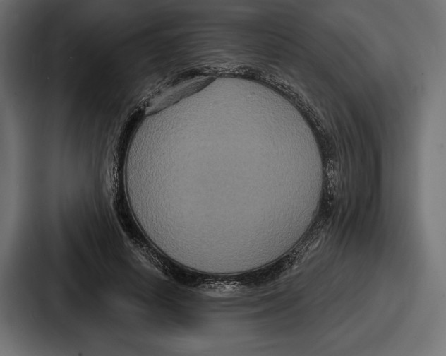 X0000086730642200705111615
