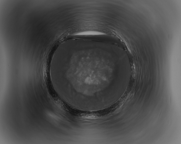 X0000086730643200705111615
