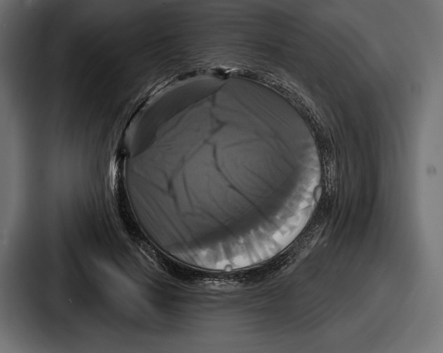X0000086730644200705111615