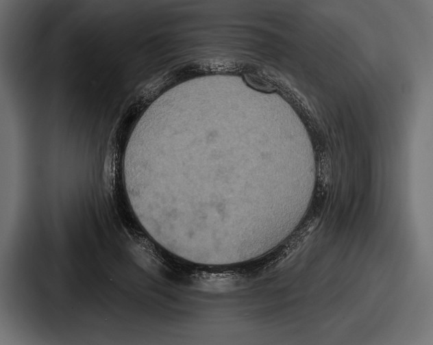 X0000086730645200705111616