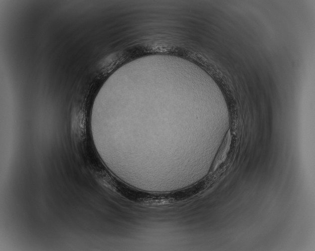 X0000086730646200705111616