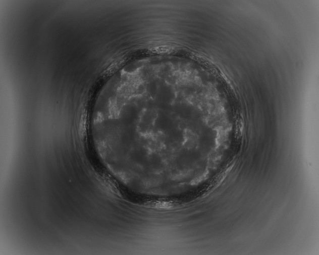 X0000086730647200705111616