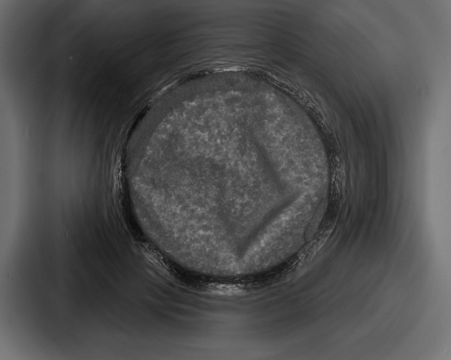 X0000086730649200705111616