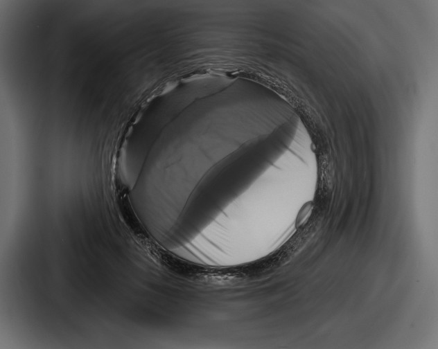 X0000086730650200705111616