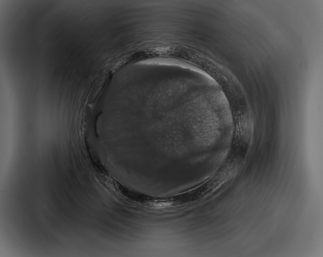 X0000086730651200705111616