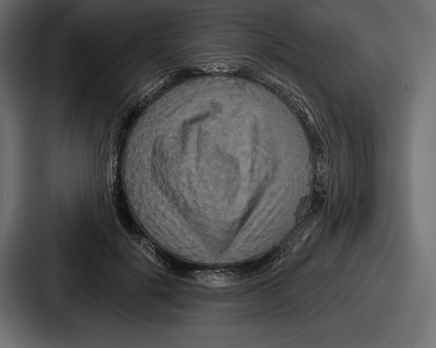 X0000086730652200705111616