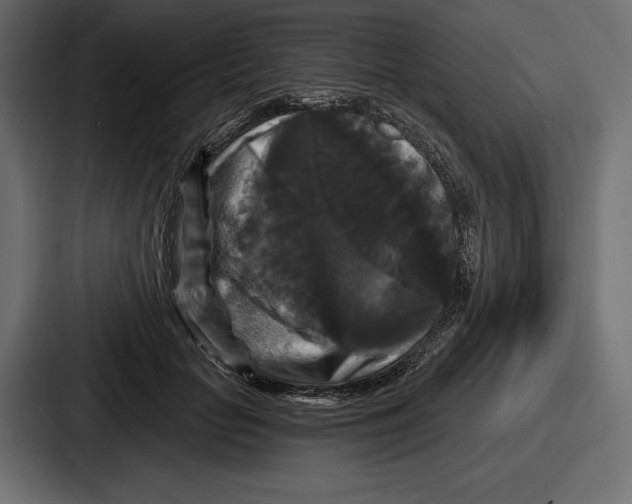 X0000086730653200705111616