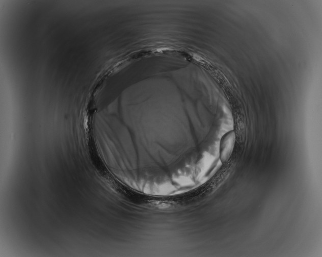 X0000086730654200705111616