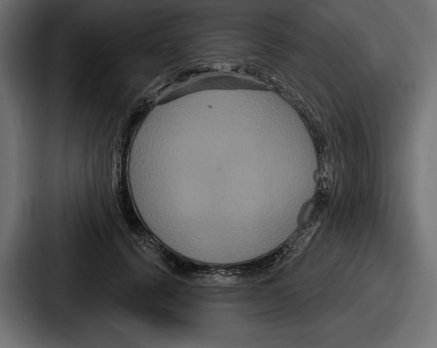 X0000086730656200705111616