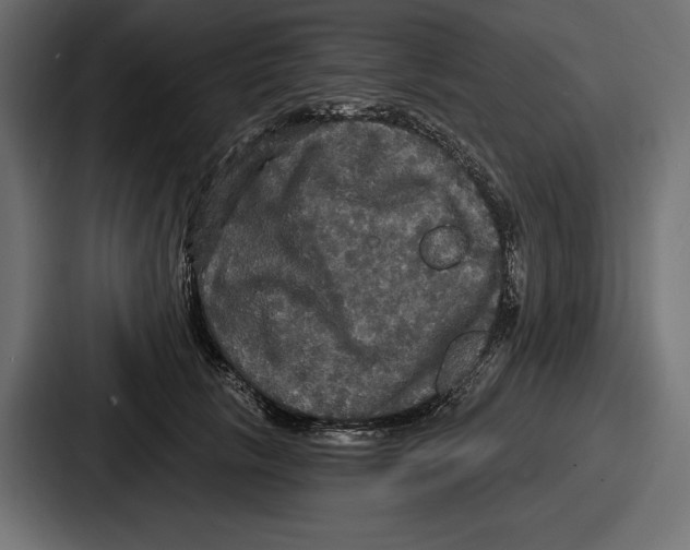 X0000086730657200705111616
