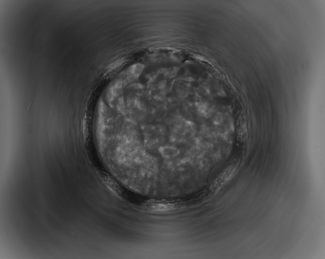 X0000086730658200705111616