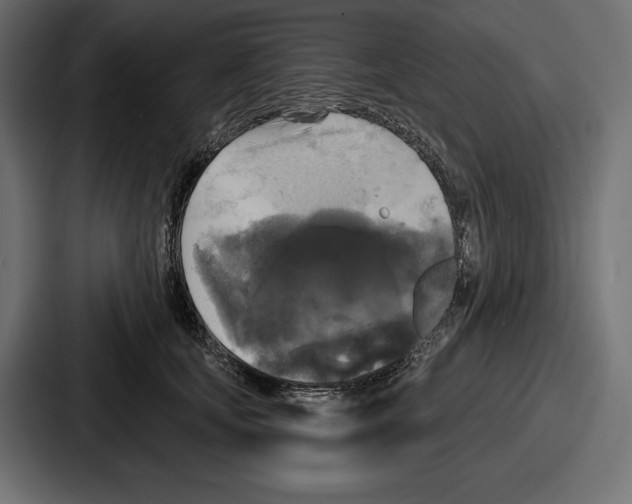 X0000086730659200705111616