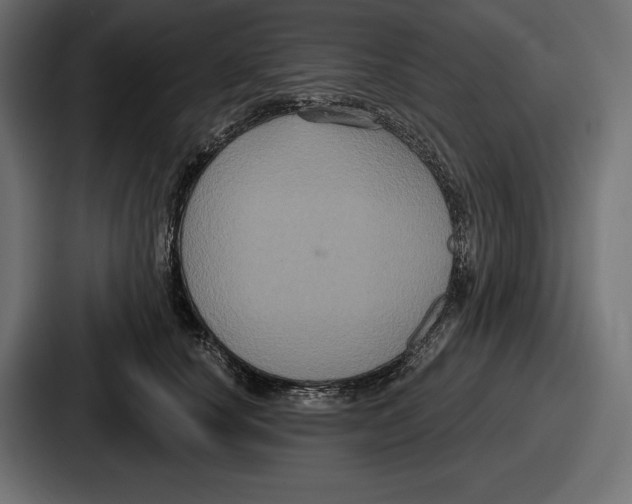 X0000086730660200705111616