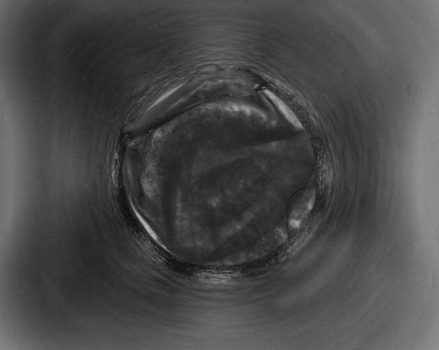 X0000086730661200705111616