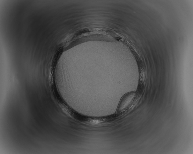 X0000086730662200705111616