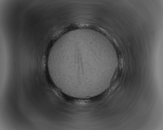 X0000086730664200705111616