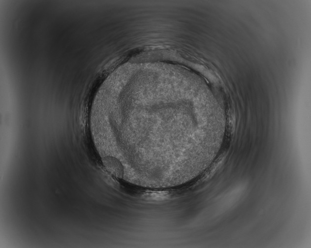 X0000086730665200705111616