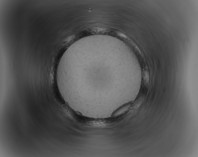 X0000086730668200705111616