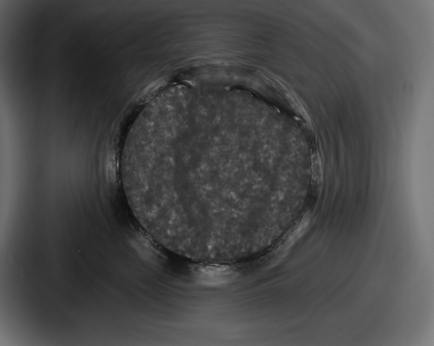 X0000086730669200705111616