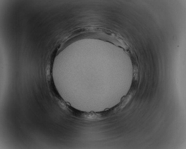 X0000086730670200705111616