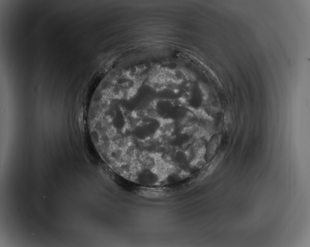 X0000086730671200705111616