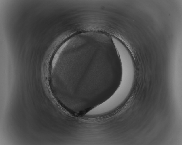 X0000086730673200705111615