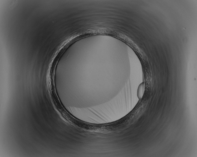 X0000086730674200705111615