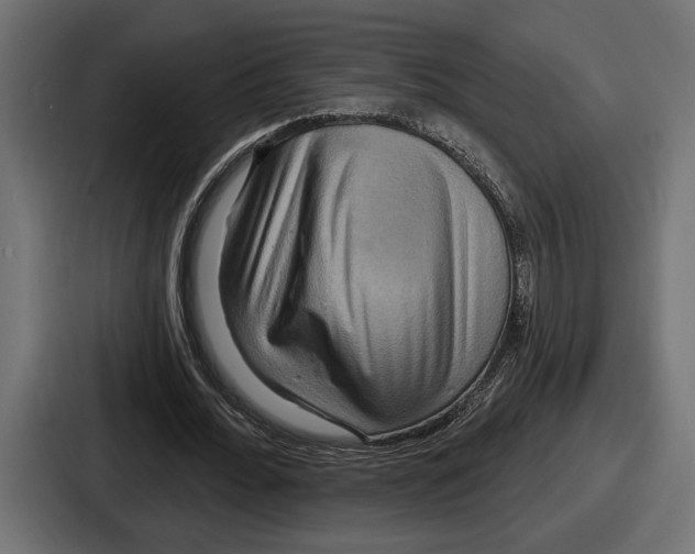 X0000086730676200705111615