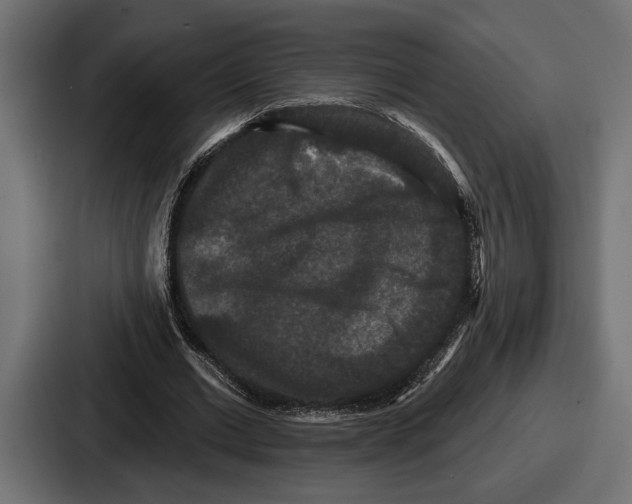 X0000086730677200705111615