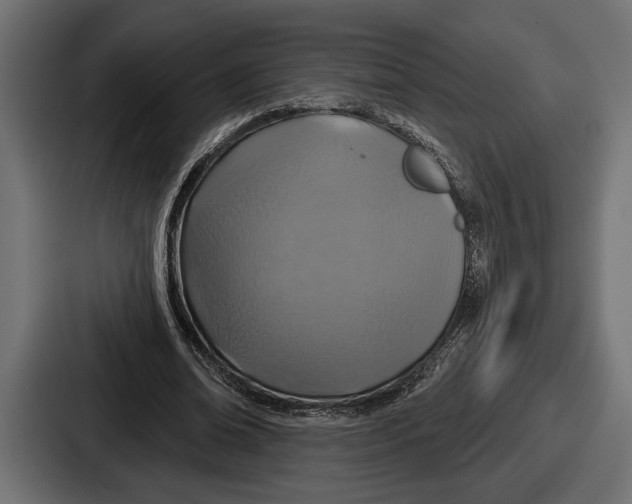 X0000086730678200705111615
