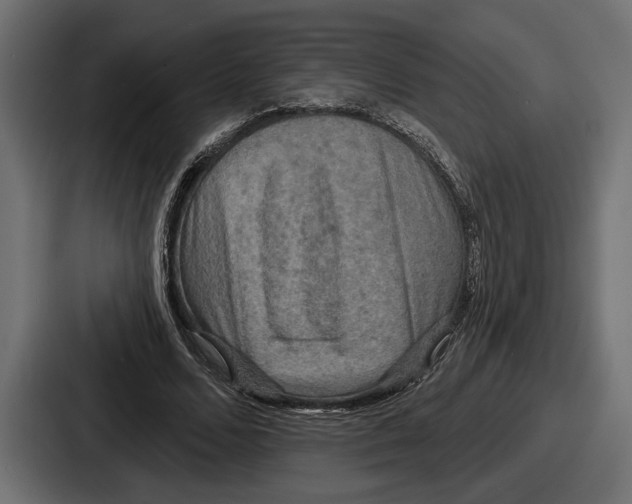 X0000086730680200705111615