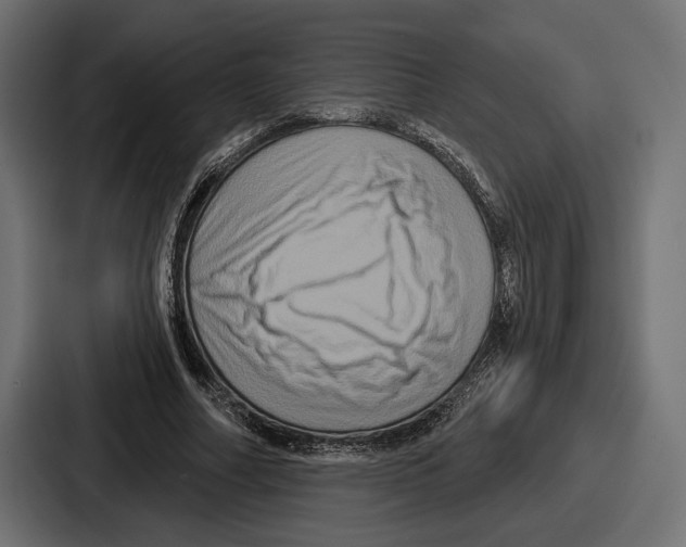 X0000086730682200705111615