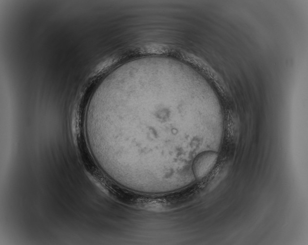 X0000086730683200705111615