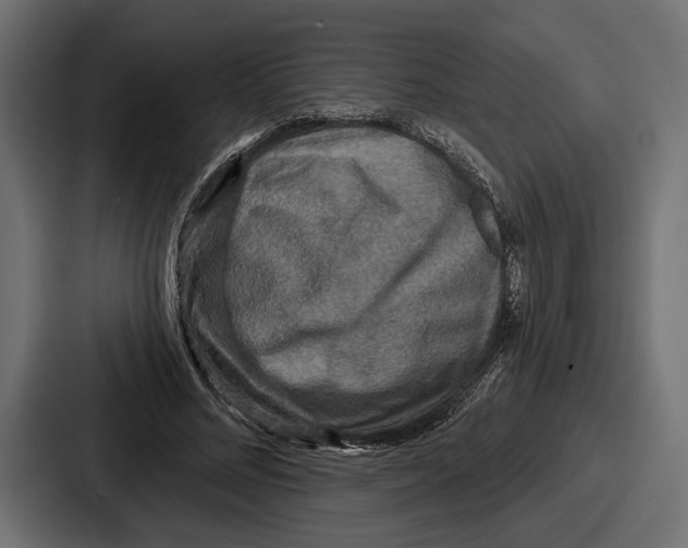 X0000086730684200705111615