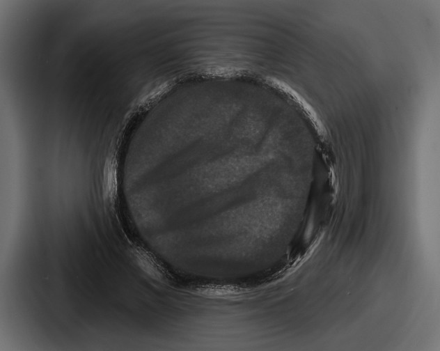 X0000086730685200705111615