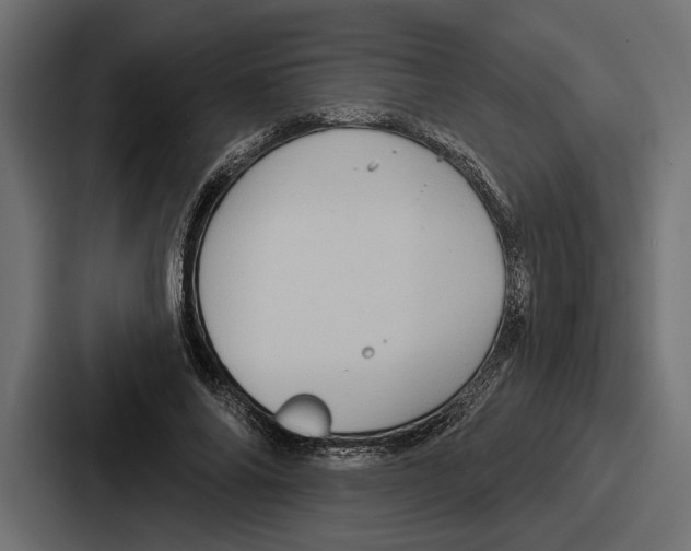 X0000086730686200705111615
