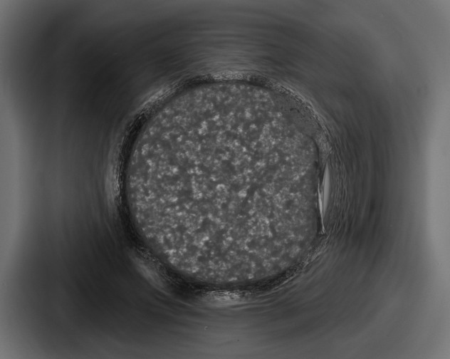 X0000086730687200705111615