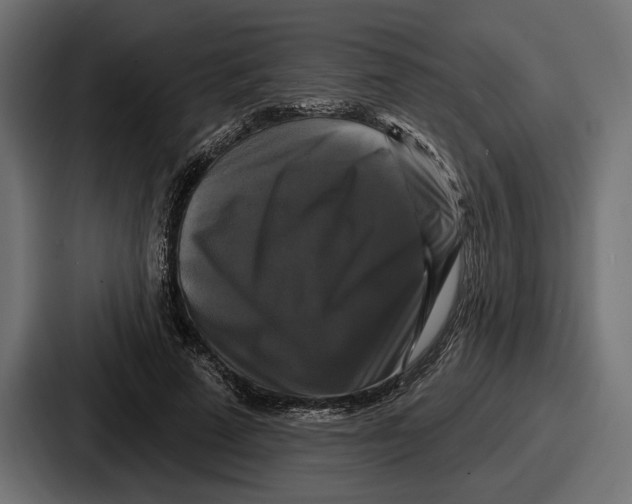 X0000086730689200705111615