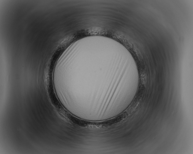 X0000086730690200705111615