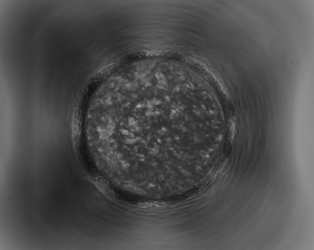 X0000086730691200705111615