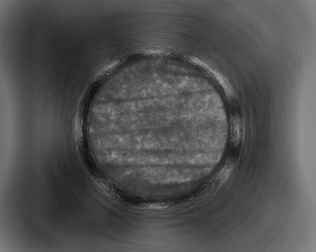 X0000086730692200705111615