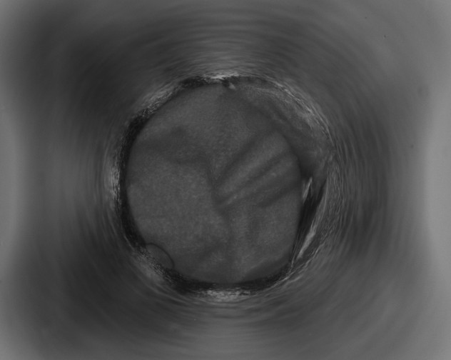 X0000086730693200705111615