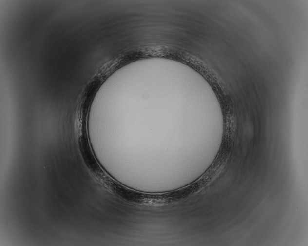 X0000086730694200705111615