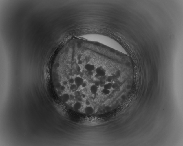 X0000086730695200705111615